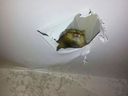 Дополнительные услуги